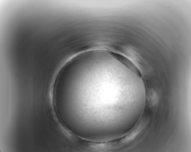 X0000089451054200706221244
