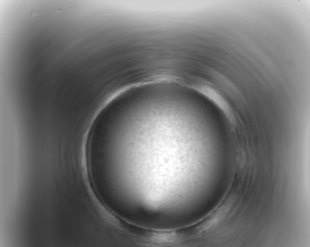 X0000089451055200706221244