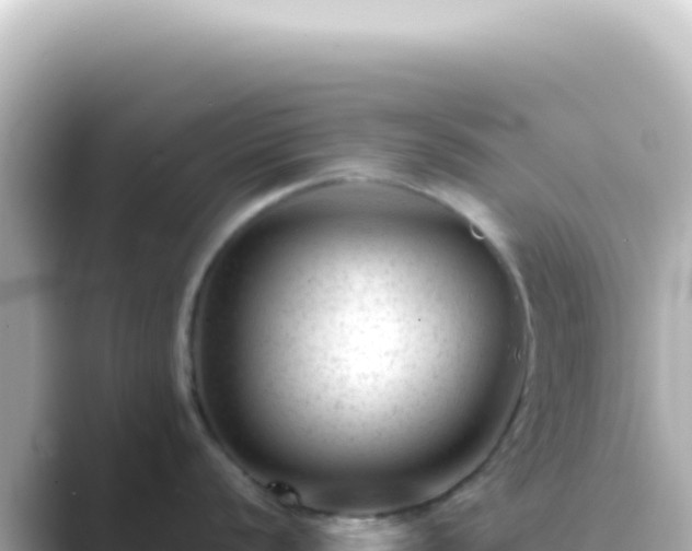 X0000089451056200706221244