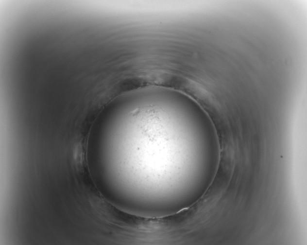 X0000089451058200706221243