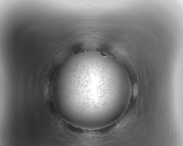 X0000089451059200706221243