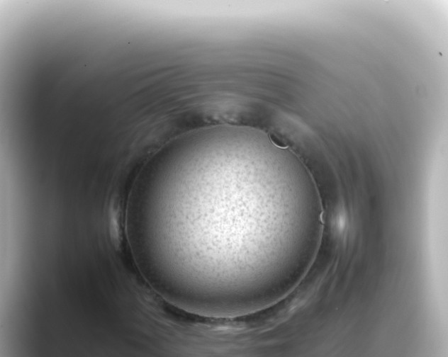 X0000089451060200706221243