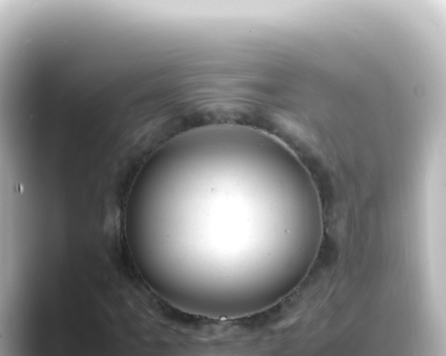 X0000089451061200706221243