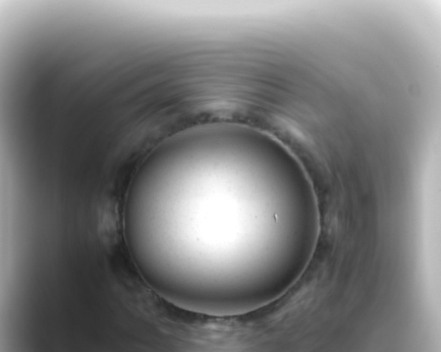 X0000089451062200706221243