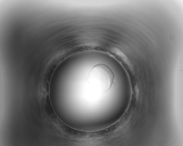 X0000089451064200706221243