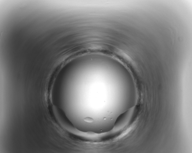 X0000089451065200706221243