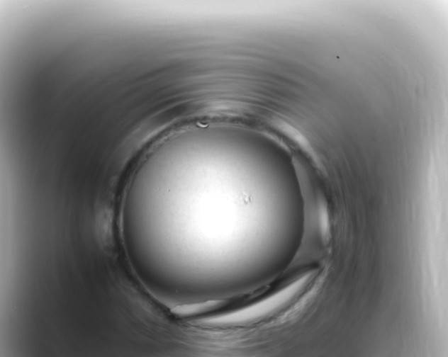 X0000089451066200706221243