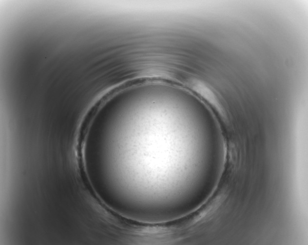 X0000089451068200706221243
