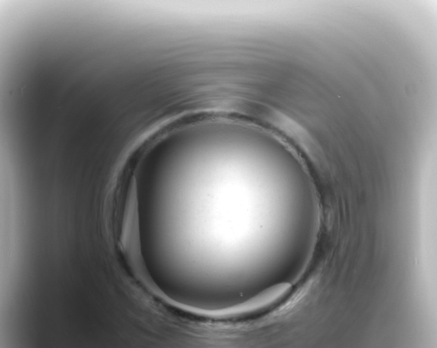 X0000089451069200706221243
