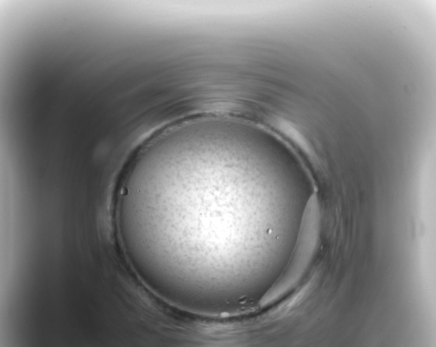 X0000089451071200706221243