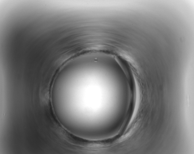 X0000089451073200706221243
