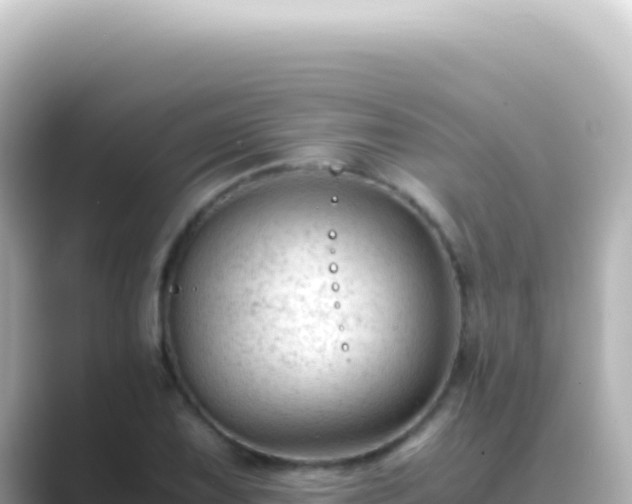X0000089451075200706221243