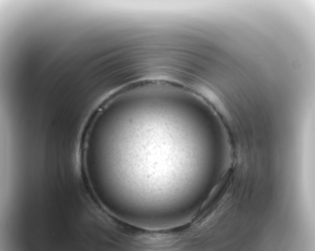 X0000089451076200706221243