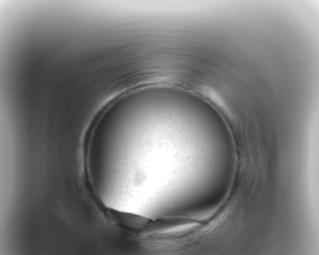 X0000089451079200706221243