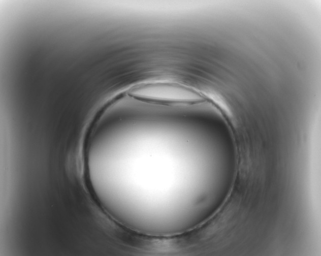 X0000089451080200706221243