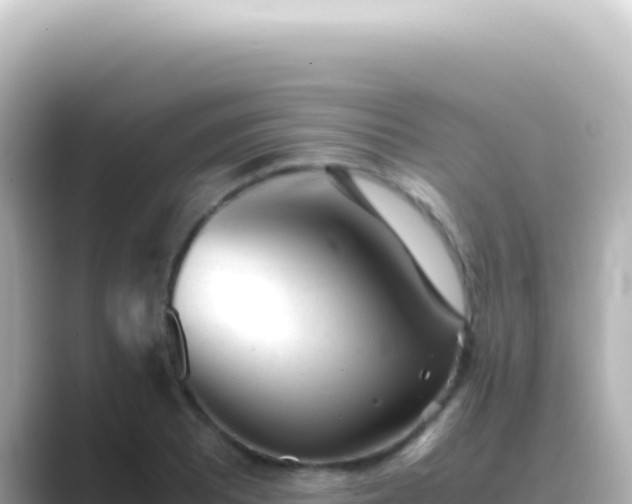 X0000089451081200706221243