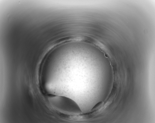X0000089451083200706221243