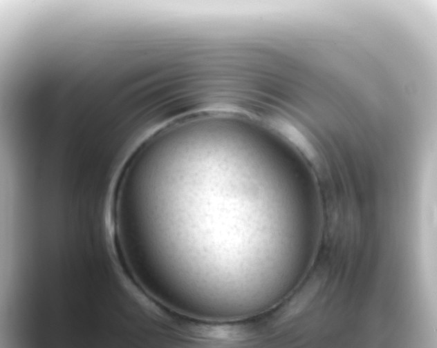 X0000089451084200706221243