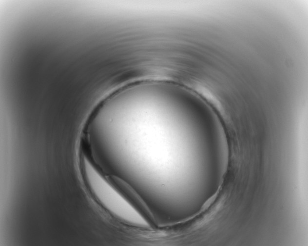 X0000089451085200706221243