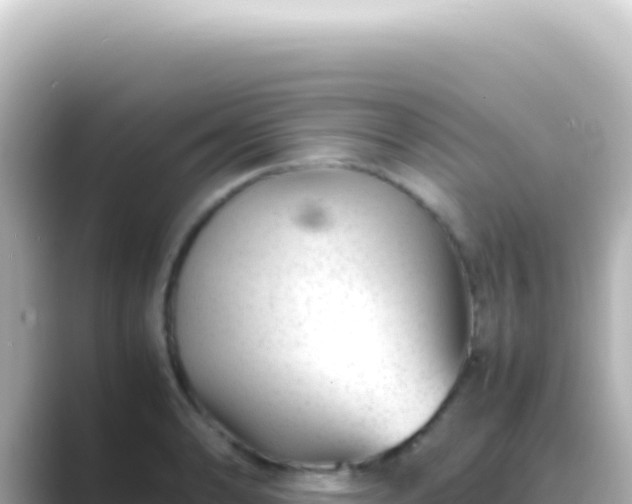 X0000089451086200706221243