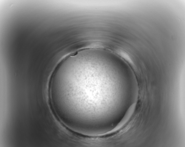 X0000089451087200706221243