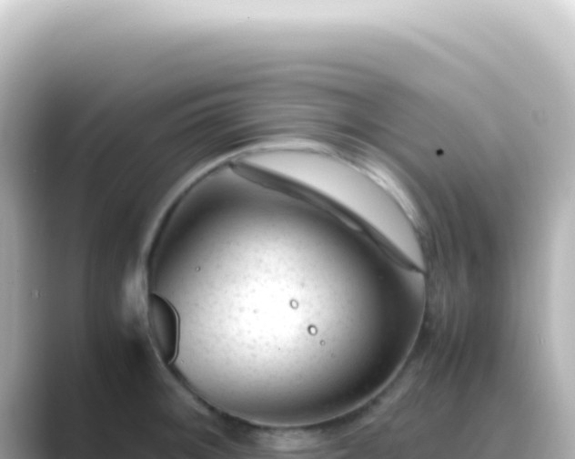 X0000089451092200706221243