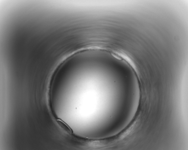 X0000089451093200706221243