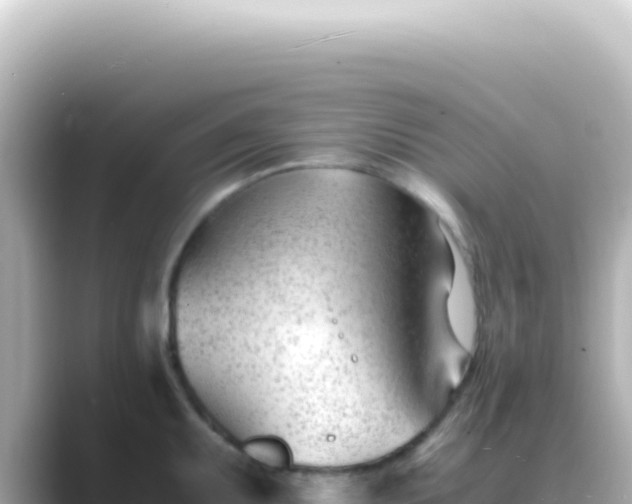 X0000089451095200706221243