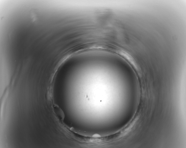X0000089451097200706221243
