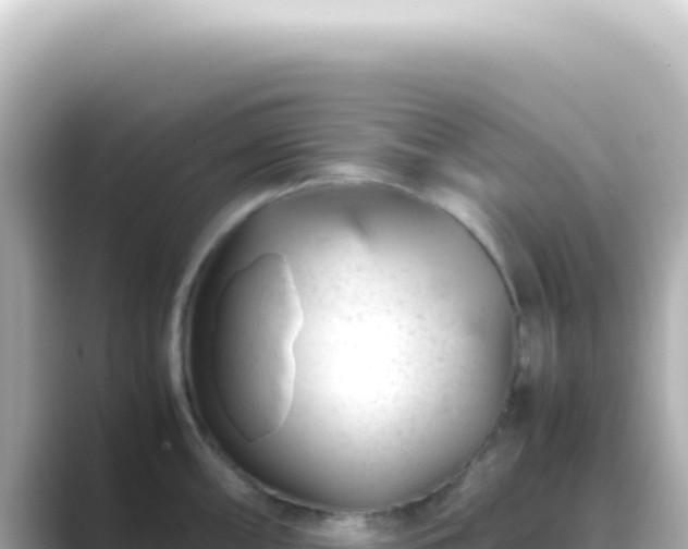 X0000089451098200706221243