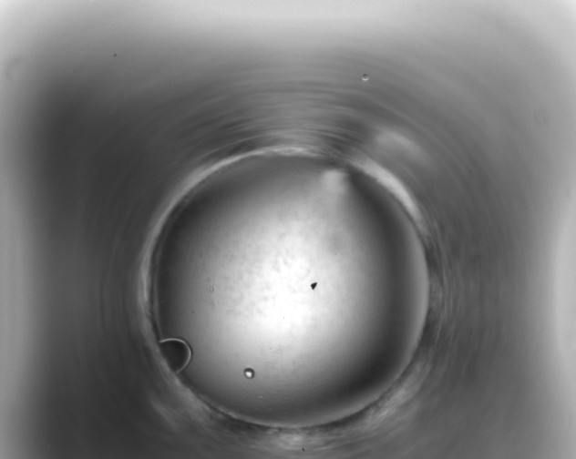 X0000089451099200706221243