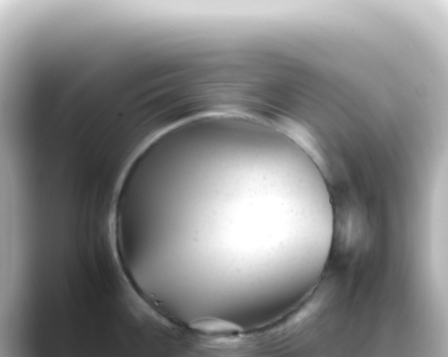 X0000089451100200706221242