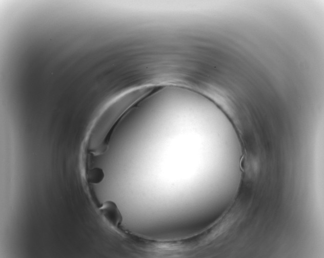 X0000089451102200706221242