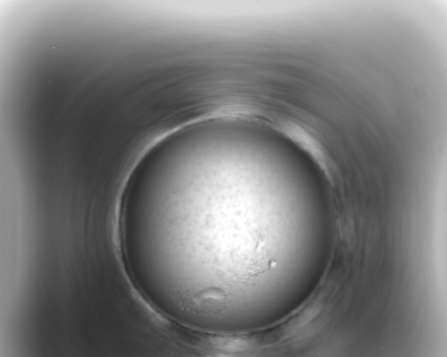 X0000089451103200706221242
