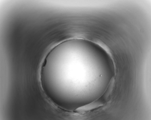 X0000089451104200706221242