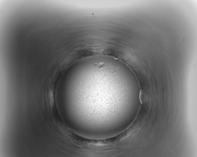 X0000089451106200706221242