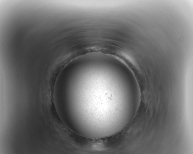 X0000089451111200706221242