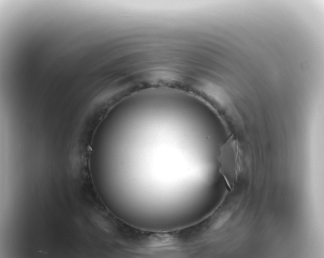 X0000089451112200706221242