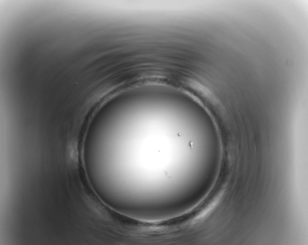 X0000089451113200706221242