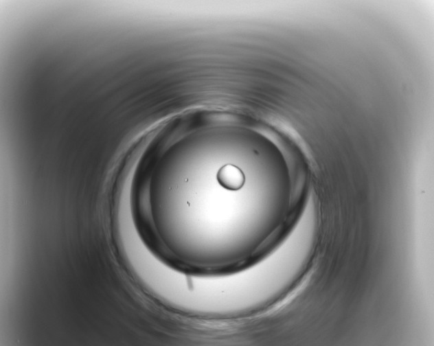 X0000089451114200706221242