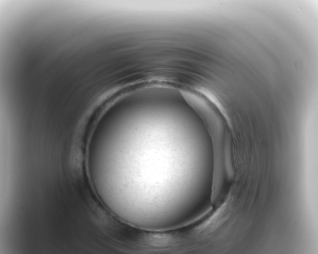 X0000089451115200706221242