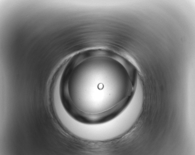 X0000089451116200706221242