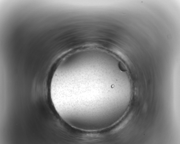 X0000089451117200706221242
