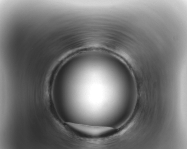 X0000089451118200706221242