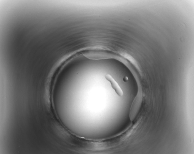 X0000089451120200706221242