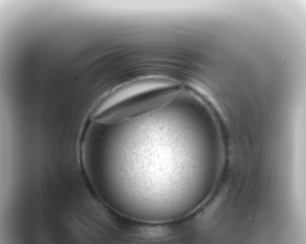 X0000089451121200706221242