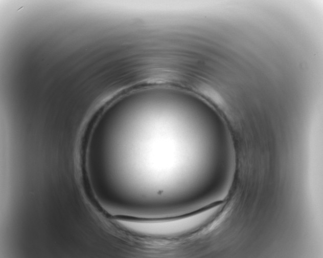 X0000089451122200706221242