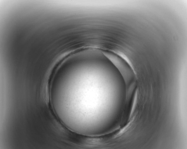 X0000089451123200706221242