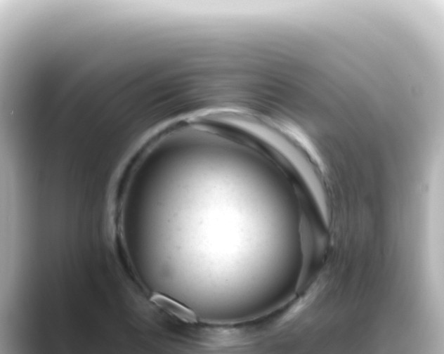 X0000089451124200706221242