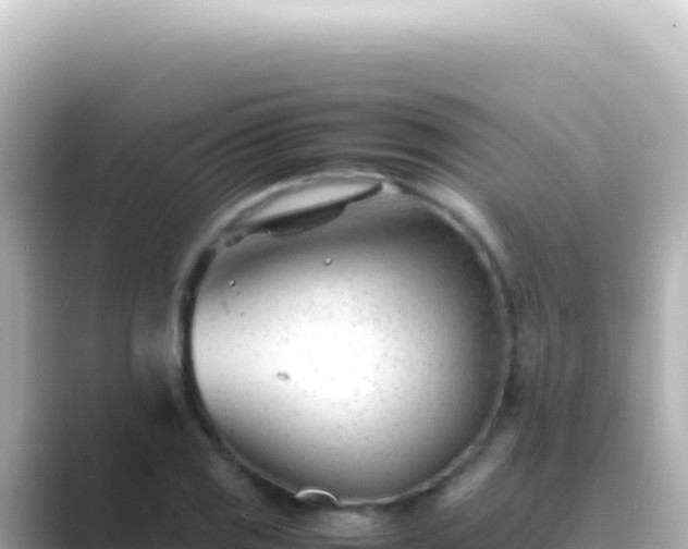 X0000089451125200706221242